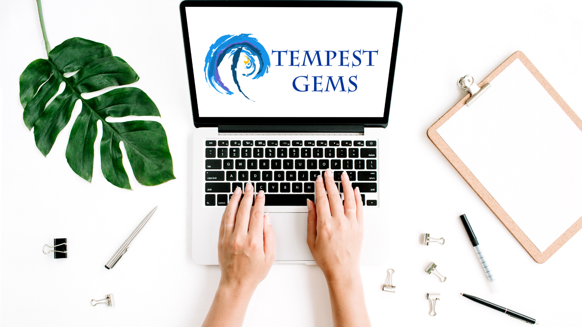 Tempest-GEMS, FEMA grant management